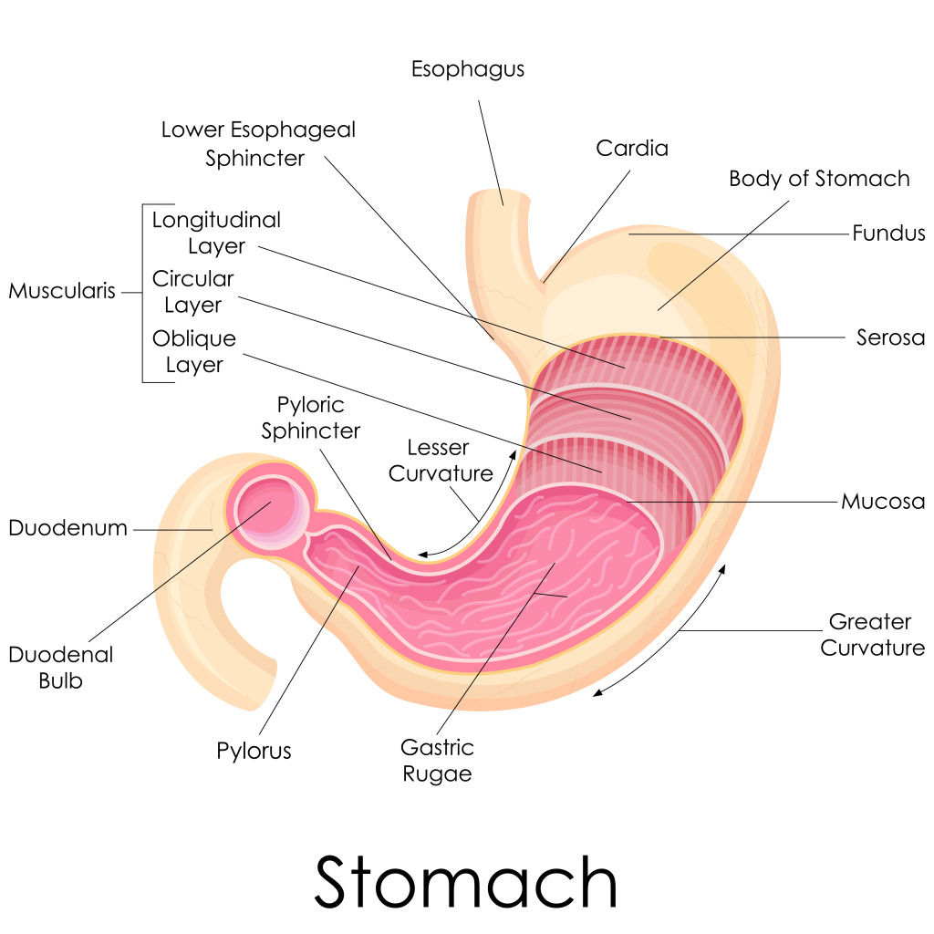 GERD may contribute to IPF