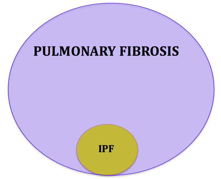 PF vs IPF